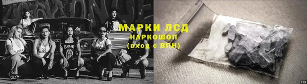 крисы Магас