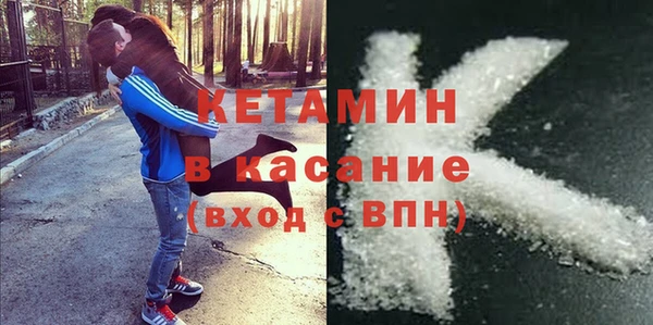 крисы Абаза