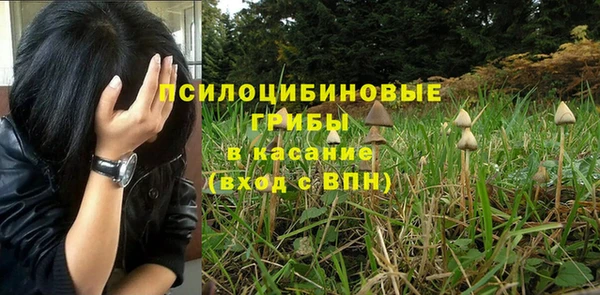 герыч Лиски