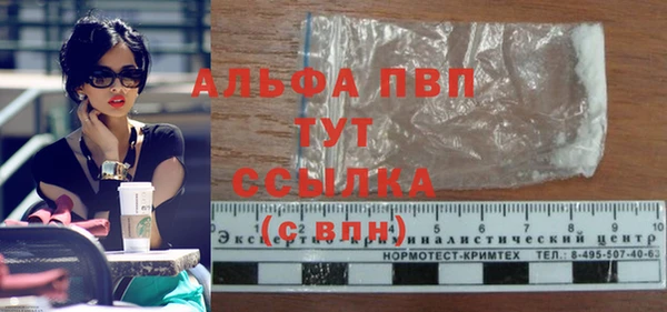крисы Магас
