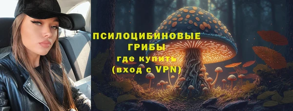 крисы Магас