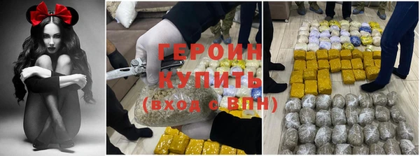 крисы Магас