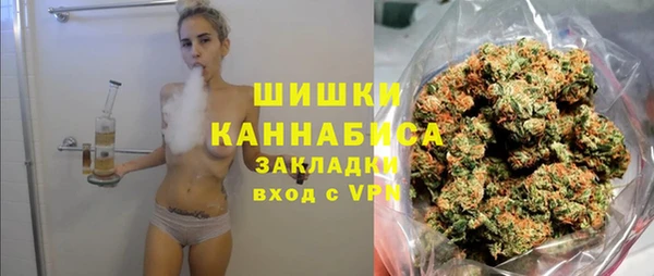 крисы Магас