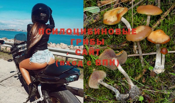 apvp Майский